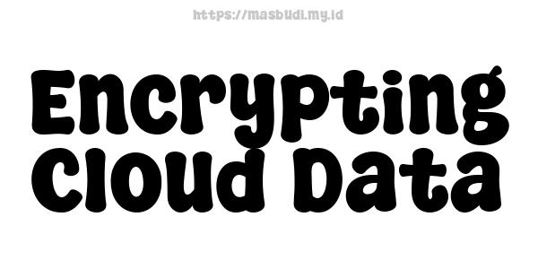 Encrypting Cloud Data