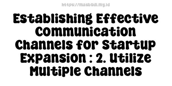 Establishing Effective Communication Channels for Startup Expansion : 2. Utilize Multiple Channels