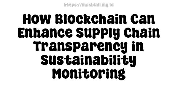 How Blockchain Can Enhance Supply Chain Transparency in Sustainability Monitoring