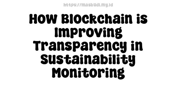 How Blockchain is Improving Transparency in Sustainability Monitoring