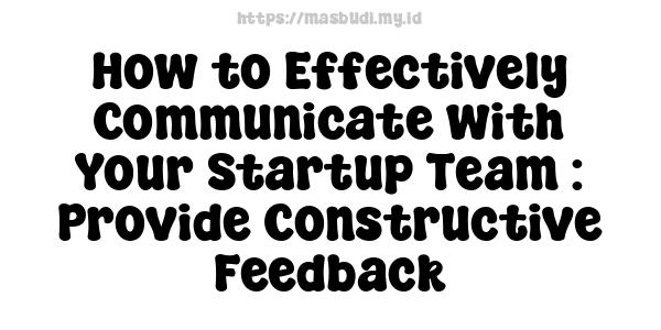 How to Effectively Communicate with Your Startup Team : Provide Constructive Feedback