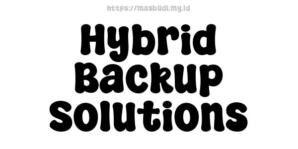 Hybrid Backup Solutions