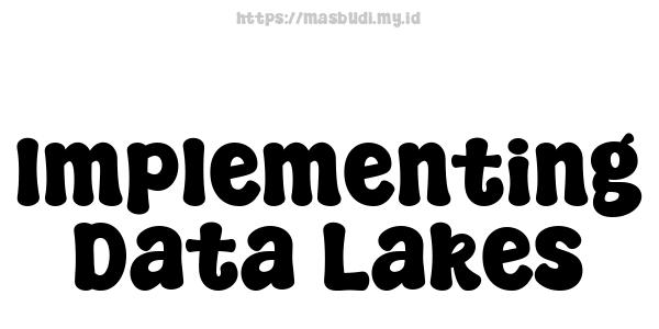 Implementing Data Lakes