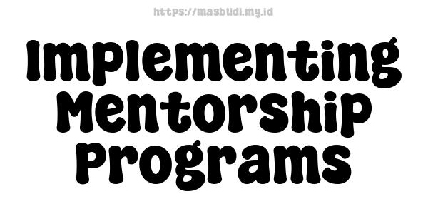 Implementing Mentorship Programs