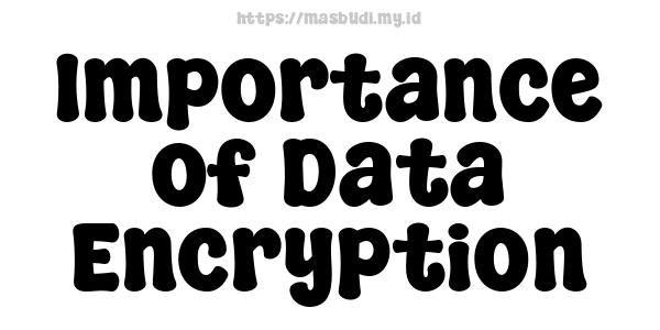 Importance of Data Encryption