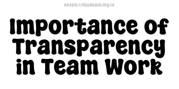 Importance of Transparency in Team Work