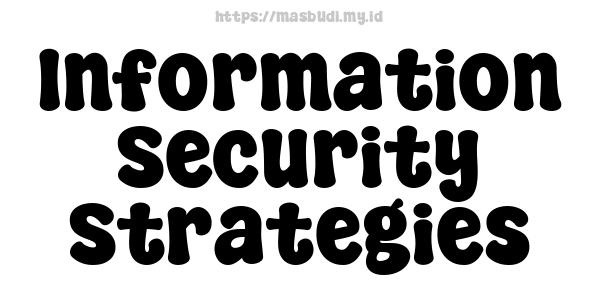 Information Security Strategies