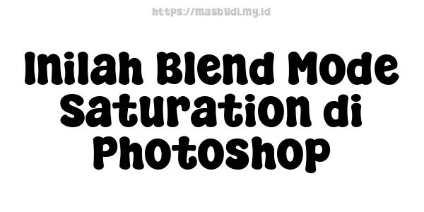 Inilah Blend Mode Saturation di Photoshop