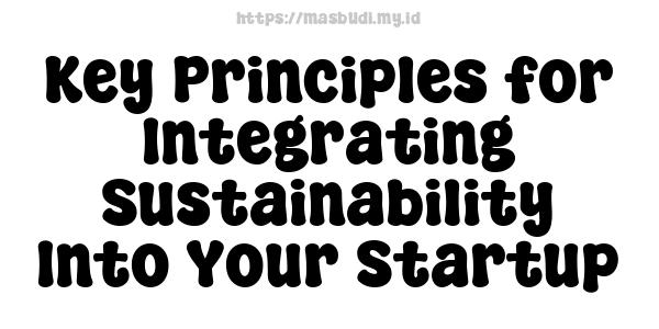 Key Principles for Integrating Sustainability Into Your Startup