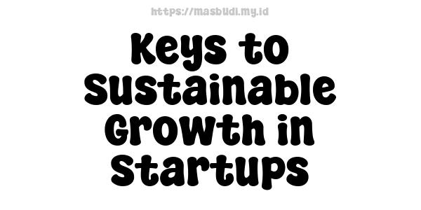 Keys to Sustainable Growth in Startups