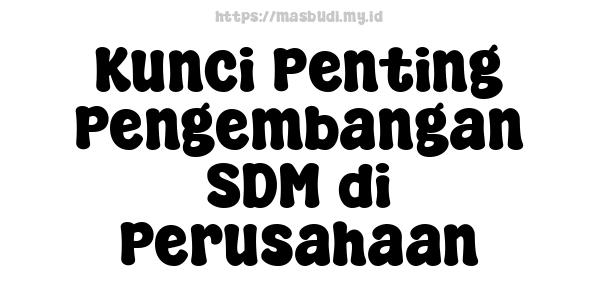 Kunci Penting Pengembangan SDM di Perusahaan