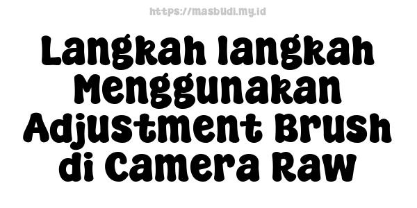 Langkah-langkah Menggunakan Adjustment Brush di Camera Raw