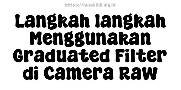 Langkah-langkah Menggunakan Graduated Filter di Camera Raw