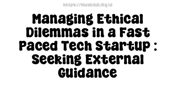 Managing Ethical Dilemmas in a Fast-Paced Tech Startup : Seeking External Guidance