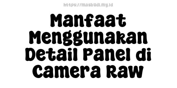 Manfaat Menggunakan Detail Panel di Camera Raw