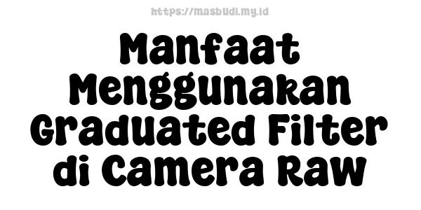 Manfaat Menggunakan Graduated Filter di Camera Raw