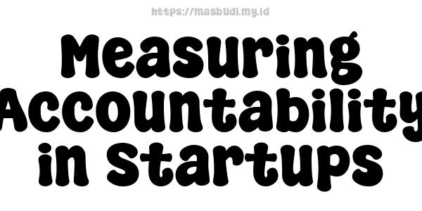 Measuring Accountability in Startups