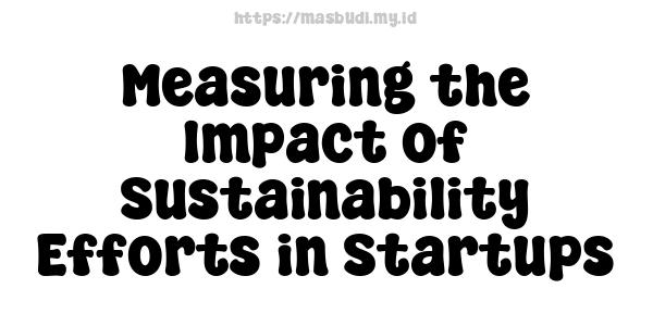 Measuring the Impact of Sustainability Efforts in Startups