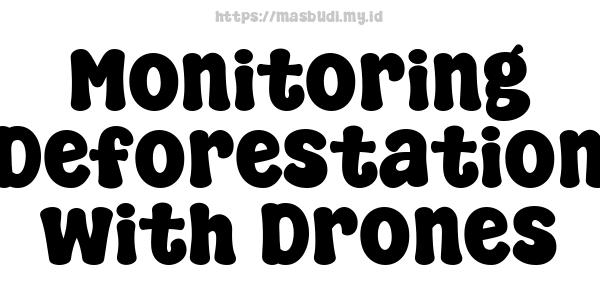 Monitoring Deforestation with Drones