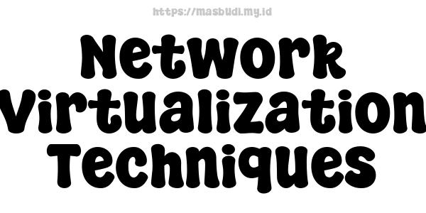 Network Virtualization Techniques