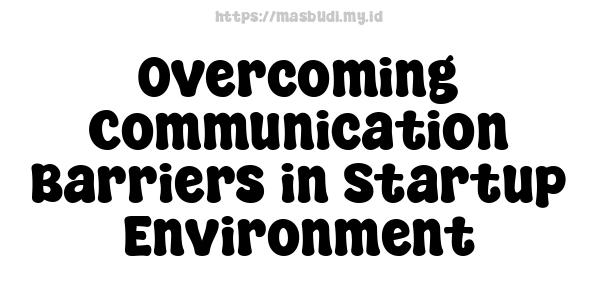 Overcoming Communication Barriers in Startup Environment