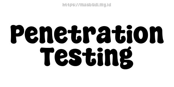 Penetration Testing