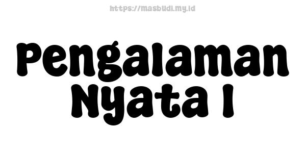 Pengalaman Nyata 1