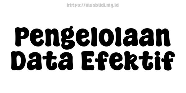 Pengelolaan Data Efektif