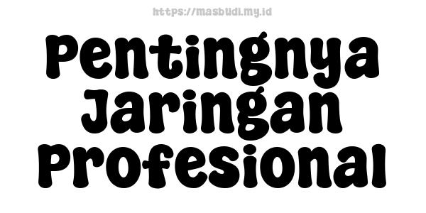 Pentingnya Jaringan Profesional