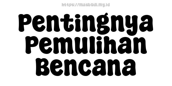 Pentingnya Pemulihan Bencana