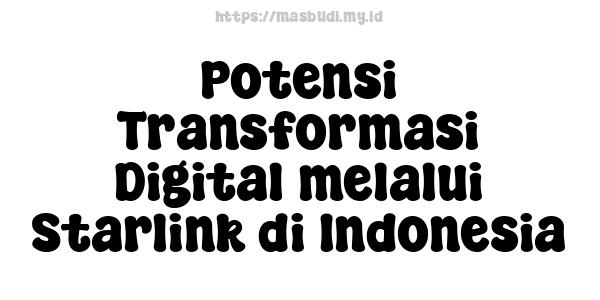 Potensi Transformasi Digital melalui Starlink di Indonesia