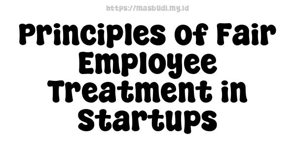 Principles of Fair Employee Treatment in Startups