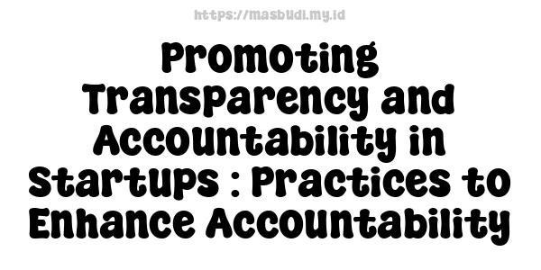 Promoting Transparency and Accountability in Startups : Practices to Enhance Accountability