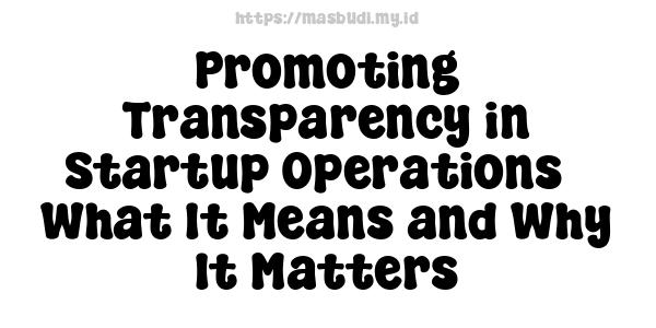 Promoting Transparency in Startup Operations - What It Means and Why It Matters