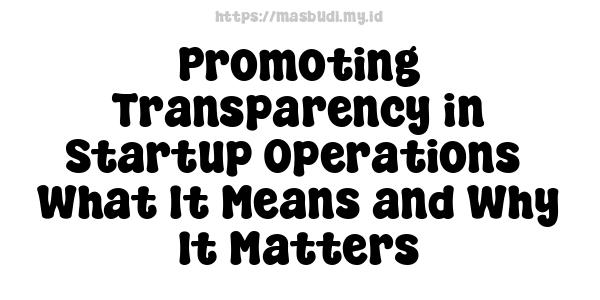 Promoting Transparency in Startup Operations -What It Means and Why It Matters