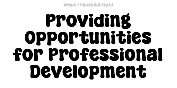 Providing Opportunities for Professional Development