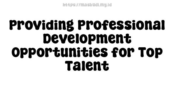 Providing Professional Development Opportunities for Top Talent