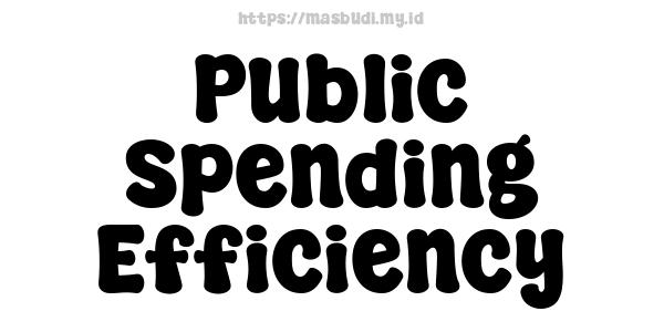 Public Spending Efficiency