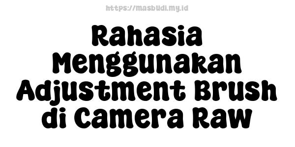 Rahasia Menggunakan Adjustment Brush di Camera Raw