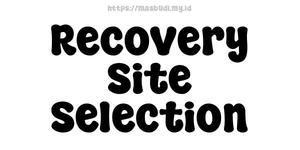 Recovery Site Selection