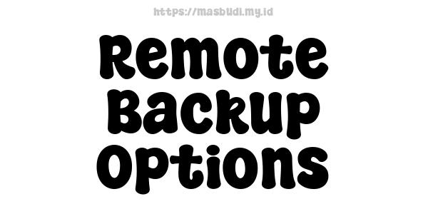 Remote Backup Options