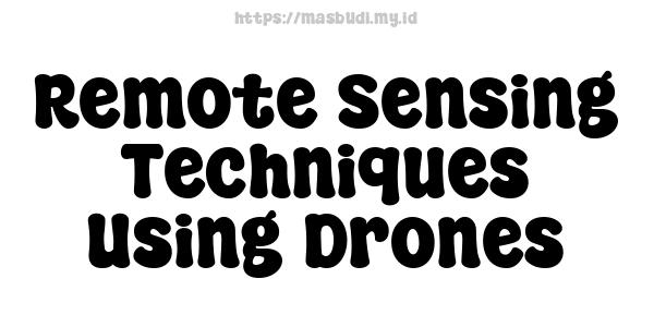 Remote Sensing Techniques Using Drones