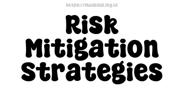 Risk Mitigation Strategies