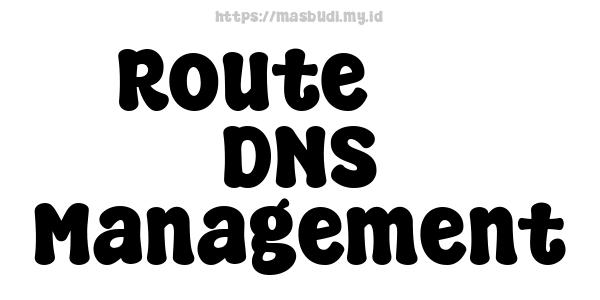 Route 53 DNS Management