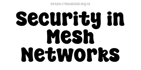 Security in Mesh Networks