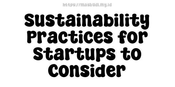 Sustainability Practices for Startups to Consider