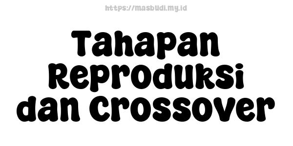 Tahapan Reproduksi dan Crossover