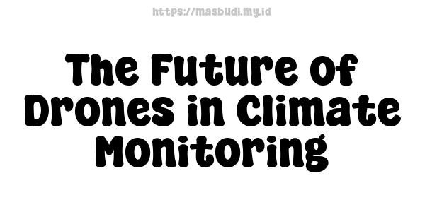 The Future of Drones in Climate Monitoring