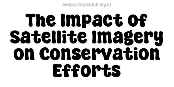 The Impact of Satellite Imagery on Conservation Efforts