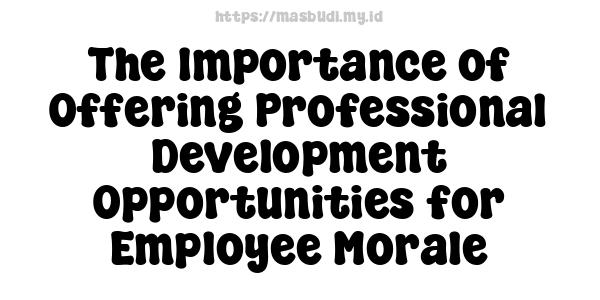 The Importance of Offering Professional Development Opportunities for Employee Morale